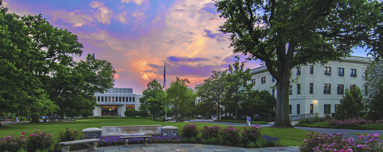 Landscape of Quad at Sunset