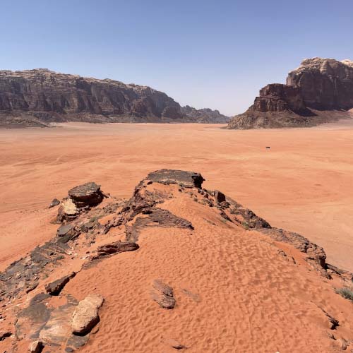 Desert landscape