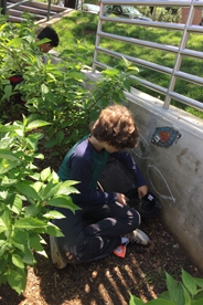 Student creating mosaic on garden wall at Horace Mann Elementary.