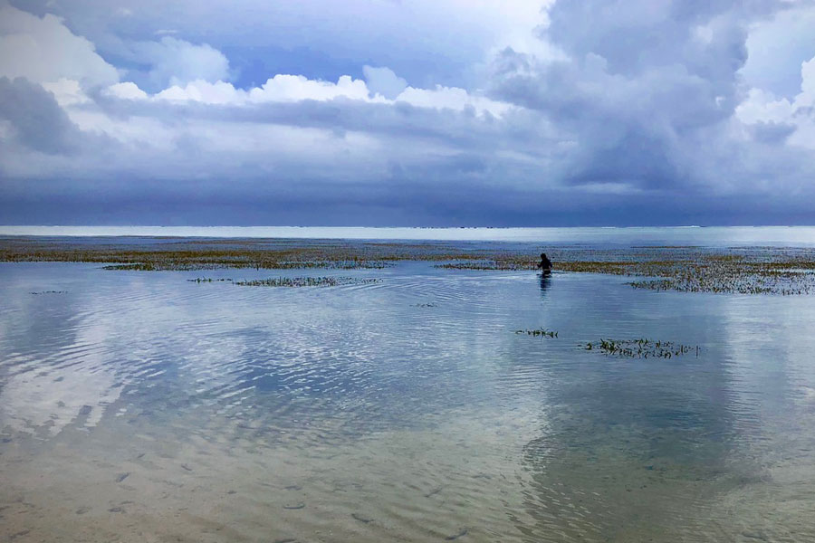 A lone figure wades waist-deep in a blue lake