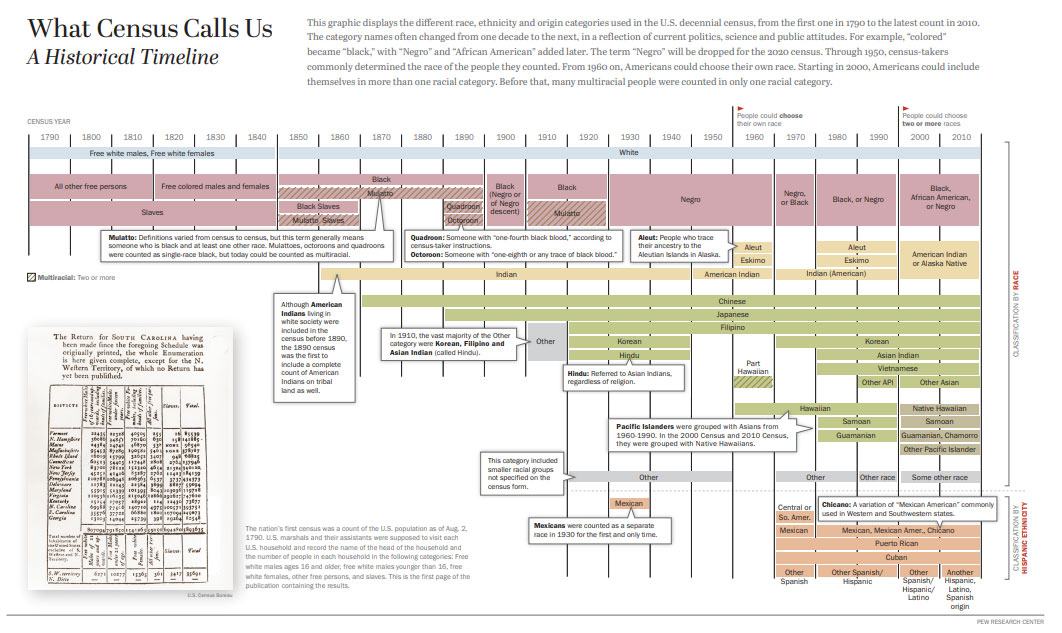 Diagram illustrating changing census terms over time