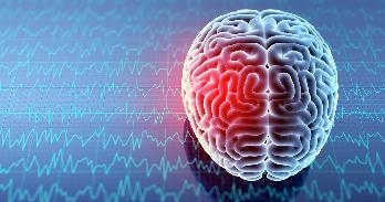 Scientific measurements of a brain