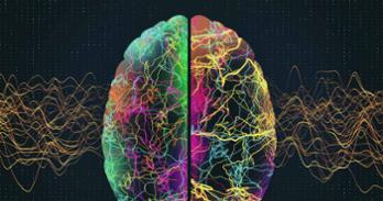 Colorful stylized visualization of the brain and brainwaves