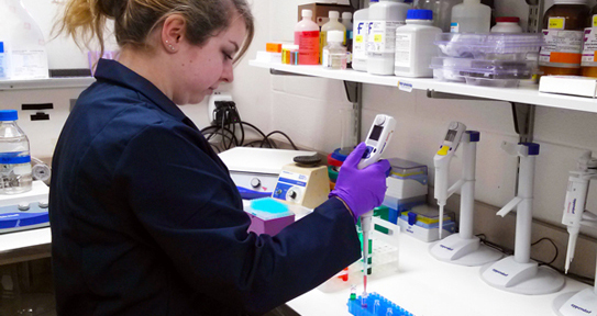 Student pipetting