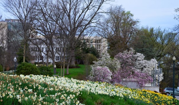 A Colorful Spring Starts in the Fall