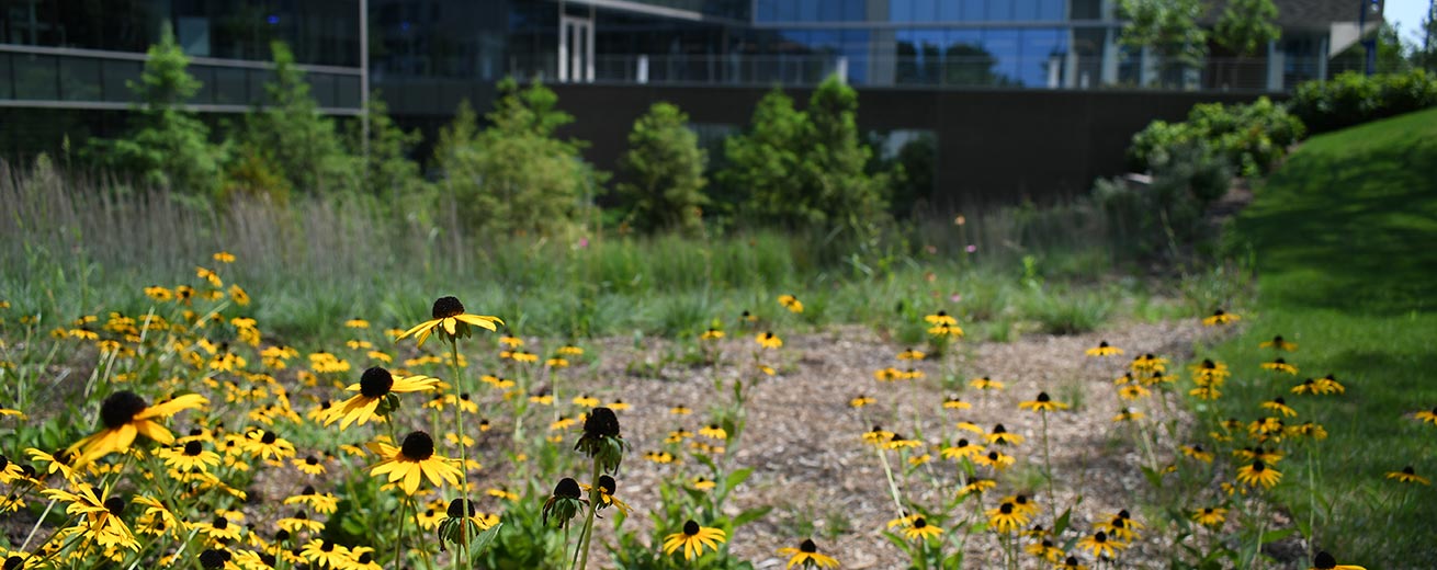 Flowers in front of the Hall of Science