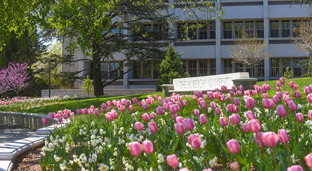 American University landscape