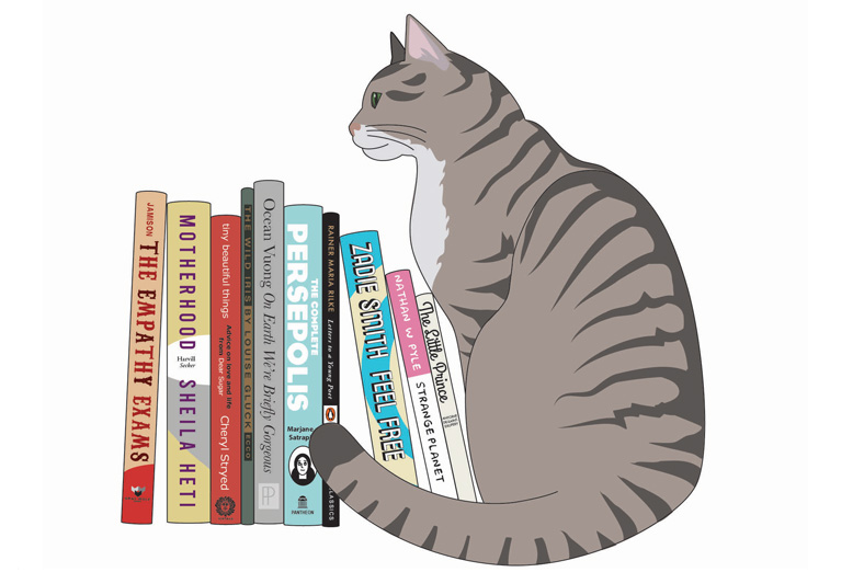 cat with books