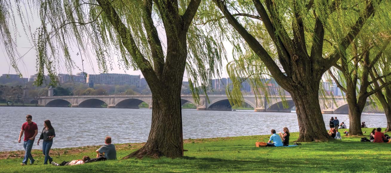 people lounge in the grass of a DC park near the Potomac