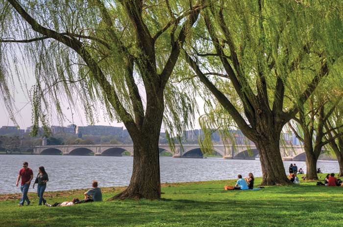 people lounge in the grass of a DC park near the Potomac