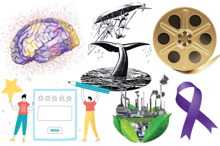 a brain, film reel, whale, and a purple ribbon