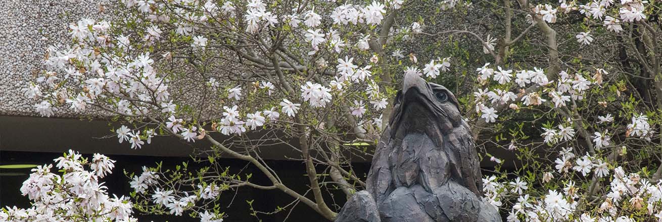 The eagle statue. Rub its talon for good luck.