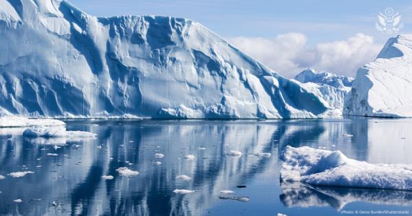 Arctic ice reflecting in the sea against a cloudy sky