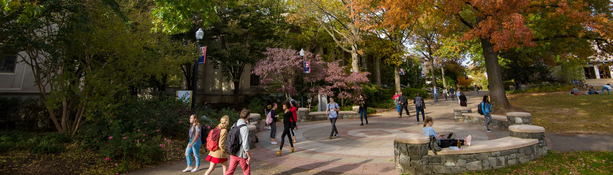 Students walk to class on AU's tree-lined quad