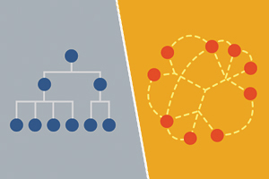 A social enterprise org chart.