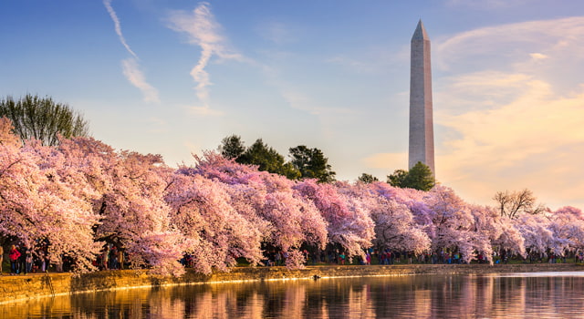 DC tidal basin